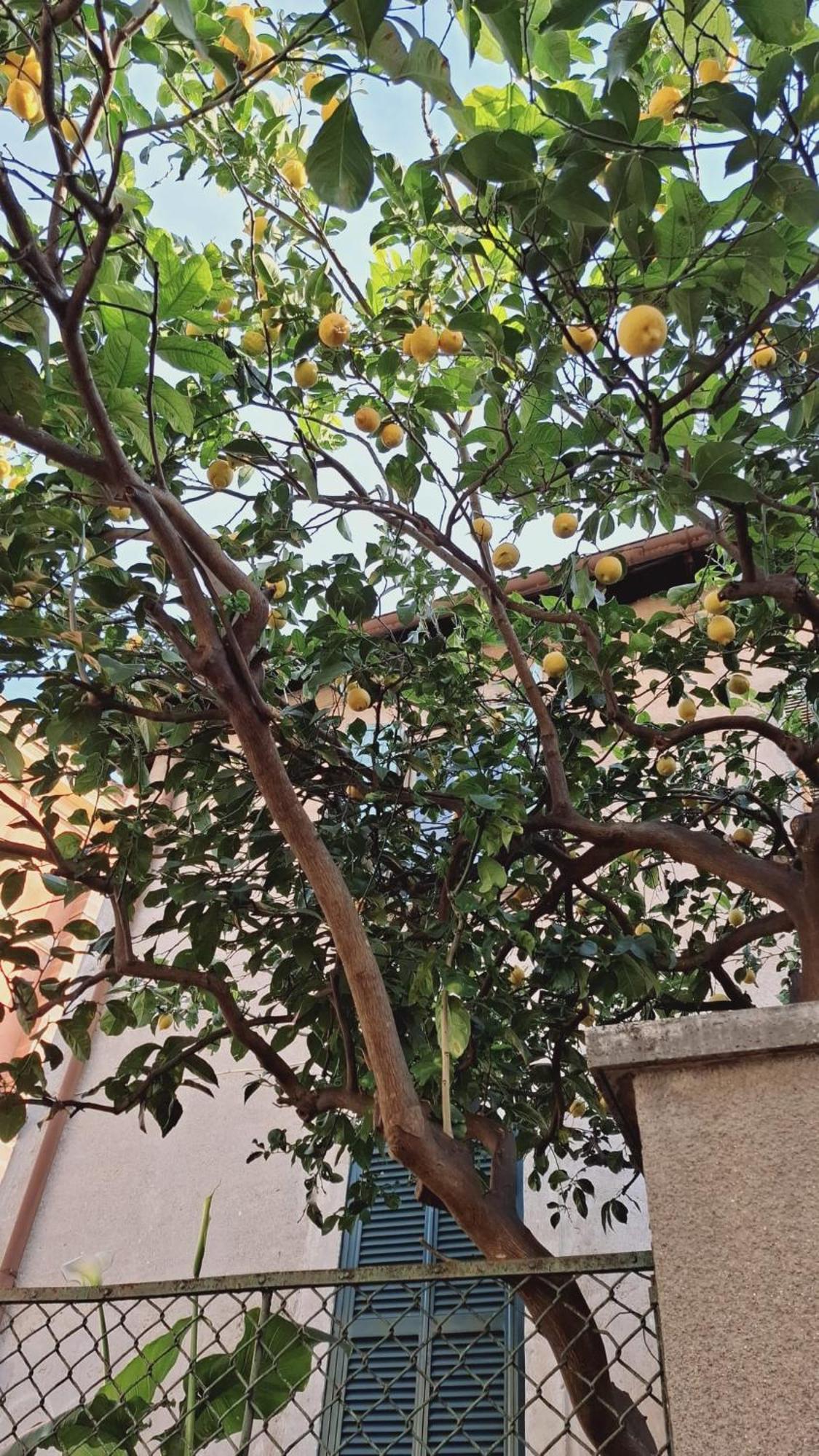 Casetta Garbatella Roma